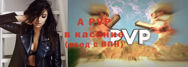 стафф Медногорск