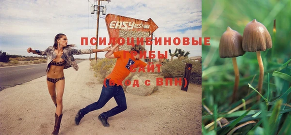 стафф Медногорск