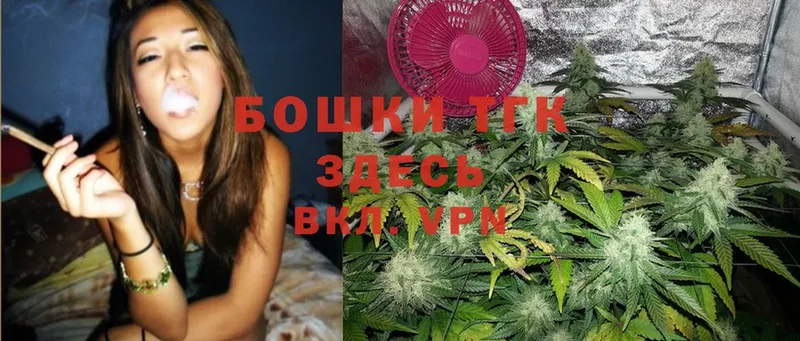 Конопля SATIVA & INDICA  Константиновск 